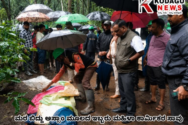 ಭಾರೀ ಗಾಳಿ ಮಳೆಗೆ ಮರ ಉರುಳಿ ಇಬ್ಬರು ಮಹಿಳಾ ಕಾರ್ಮಿಕರ ದುರ್ಮರಣ